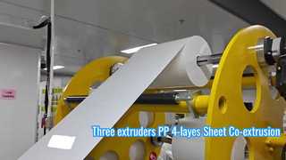 4 lapisan Garis Ekstrusi Lembar Thermoforming PP Efisiensi Tinggi